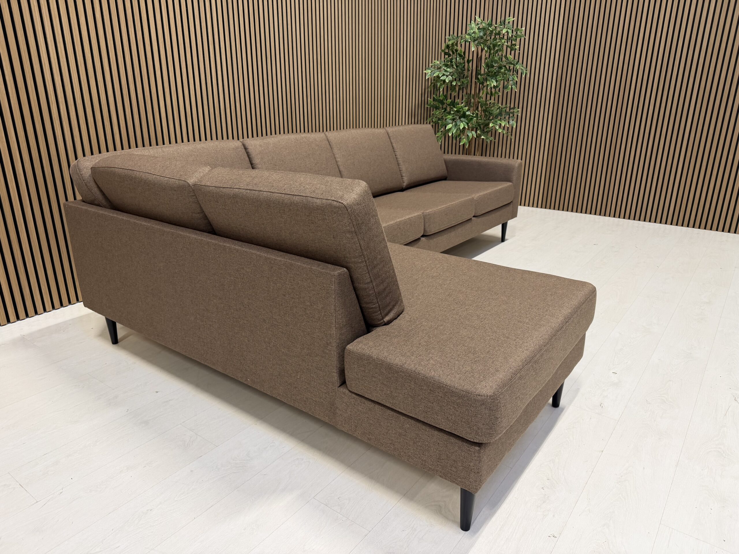 BESCARO BROWN - Pilt 3